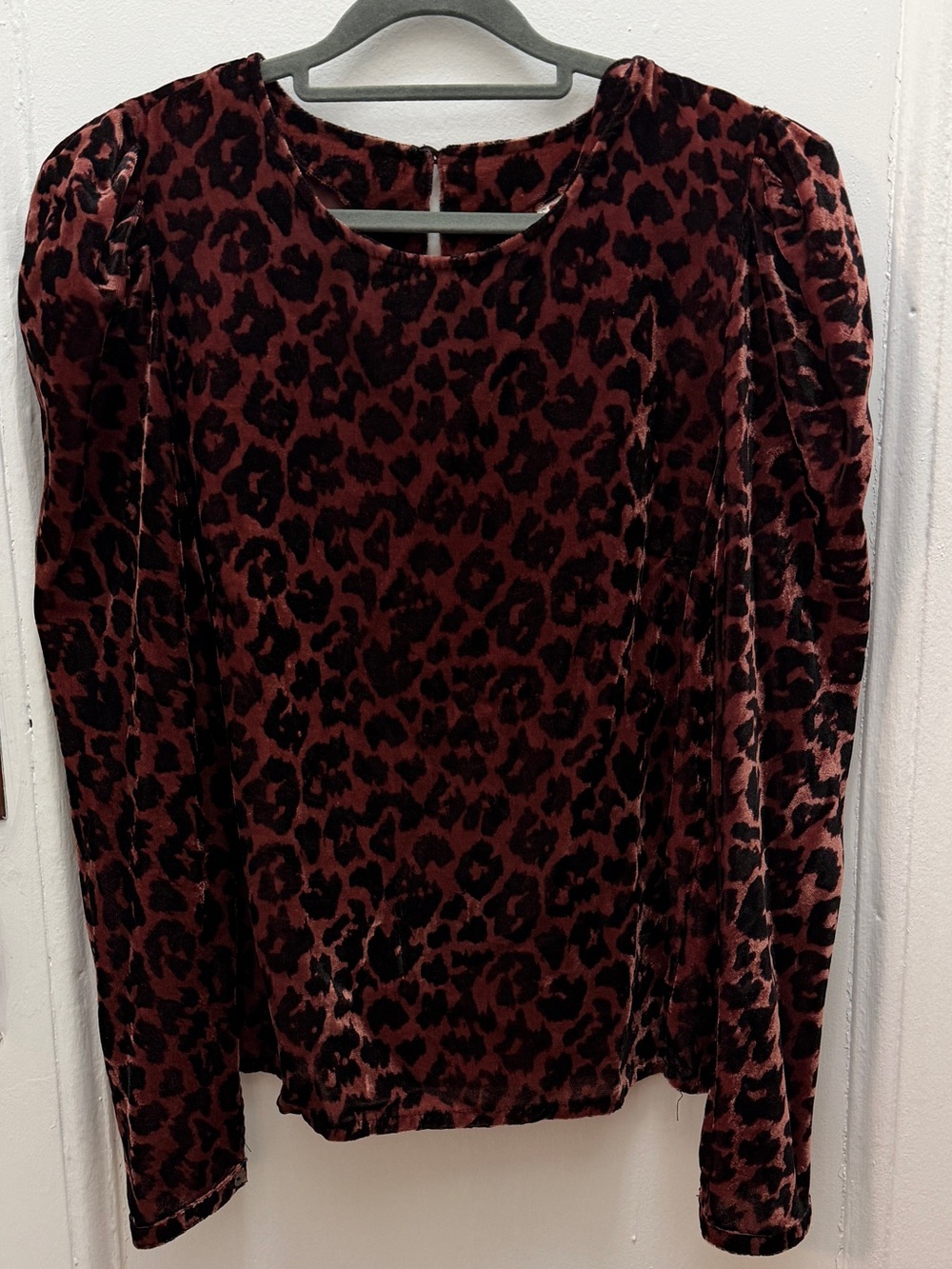 Anthropologie Velvet Leopard Long-Sleeve Top